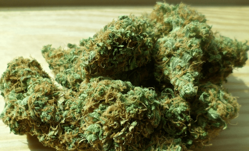 weed